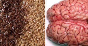 Alimentação saudável para nosso cérebro