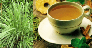 Chá de Erva Cidreira – Propriedades e Receita