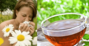 Rinite alérgica – Remédios caseiros que aliviam os sintomas