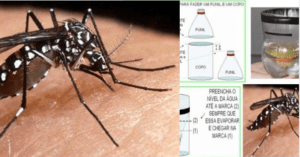 Armadilha com garrafa pet para mosquito da dengue – Passo a passo