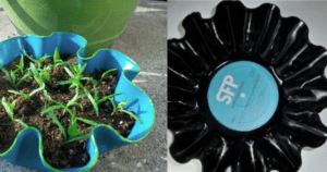 Vaso de disco de vinil – Reciclando com o passo a passo