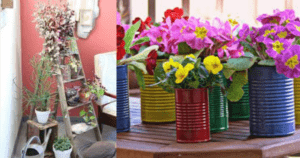 Boas ideias para decoração com vasos de plantas