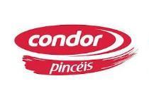 Condor Pinceis oferece cursos grátis de pintura