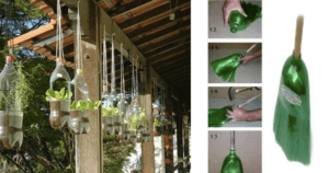 Ótimas sugestões para reciclagem de garrafa pet