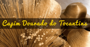 Conheça o artesanato com Capim Dourado feito no Tocantins