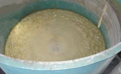 cana fermentacao