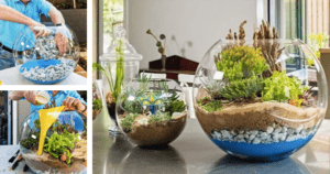 Como fazer um terrário ou jardim em miniatura