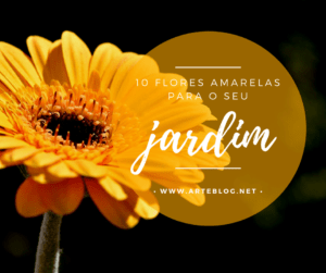 As 10 Flores Amarelas Que Podemos Plantar No Jardim E Deixar A Casa Maravilhosa