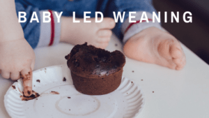 Baby led Weaning é o novo conceito de alimentação para bebês