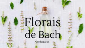 Florais de Bach: saiba o que é e como funcionam
